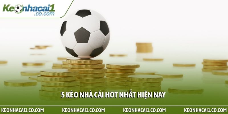 5 kèo nhà cái hot nhất hiện nay