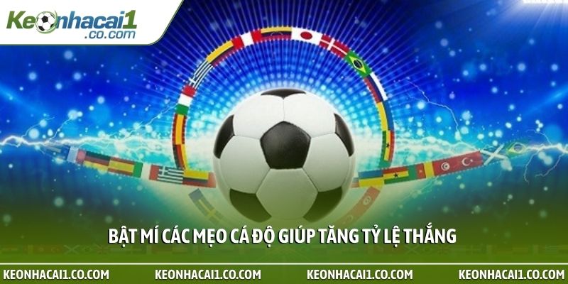 Bật mí các mẹo cá độ giúp tăng tỷ lệ thắng