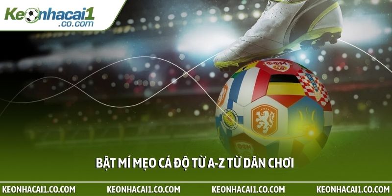 Bật mí mẹo cá độ từ A-Z từ dân chơi