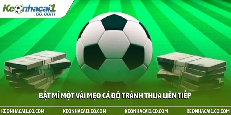 Bật mí một vài mẹo cá độ tránh thua liên tiếp