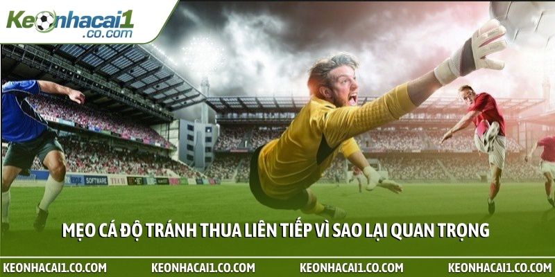 Mẹo cá độ tránh thua liên tiếp vì sao lại quan trọng