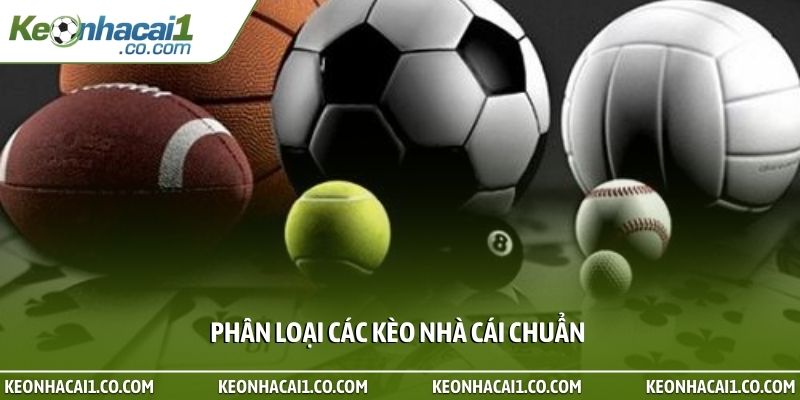 Phân loại các kèo nhà cái chuẩn