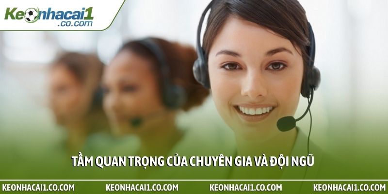 Tầm quan trọng của chuyên gia và đội ngũ