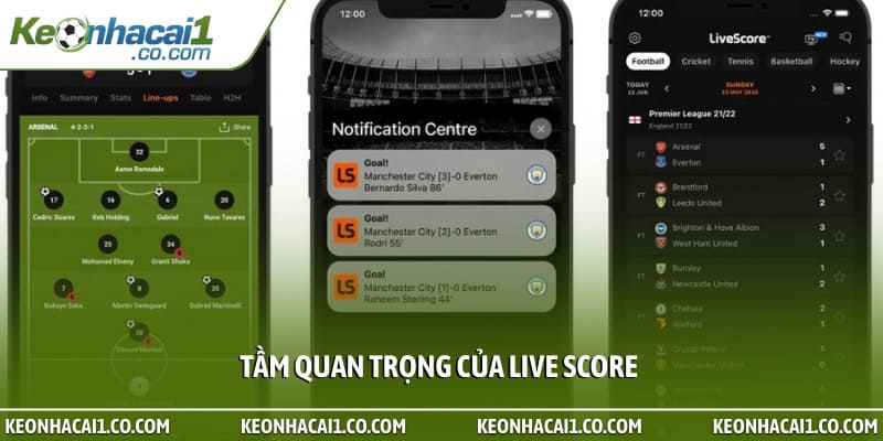 Tầm quan trọng của Live Score