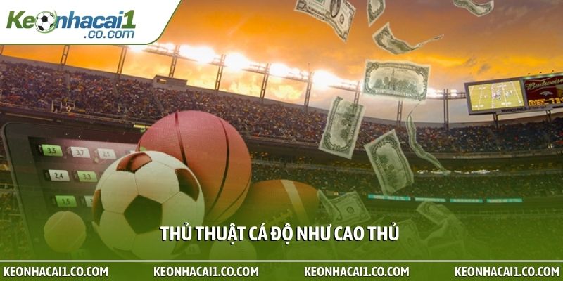 Thủ thuật cá độ như cao thủ