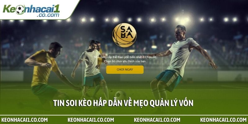 Tin soi kèo hấp dẫn về mẹo quản lý vốn