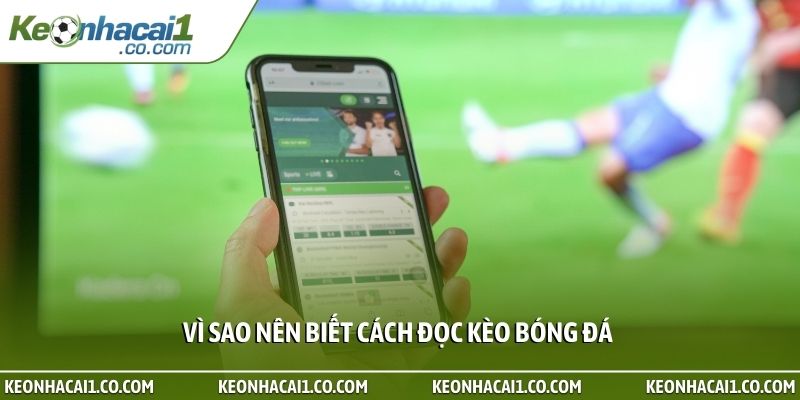 Vì sao nên biết cách đọc kèo bóng đá